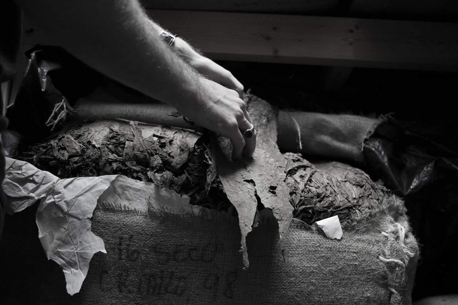 The Founder — Kyle Gellis